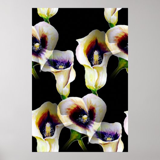 Sublime Watercolor Arum Calla Lilies Poster (Vorne)