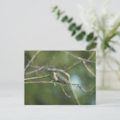 Subtile Beauty Postkarte (Stehend Vorderseite)