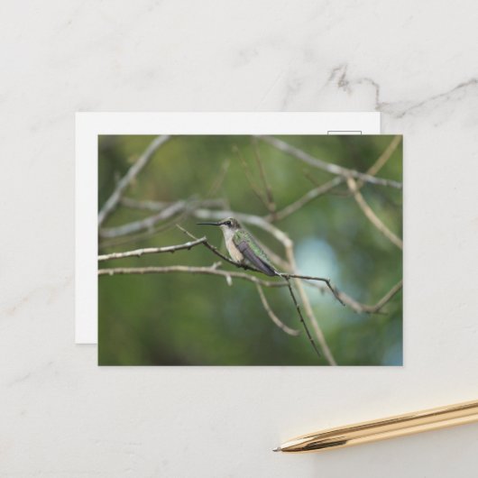 Subtile Beauty Postkarte (Vorderseite/Rückseite Beispiel)