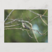 Subtile Beauty Postkarte (Vorderseite)