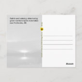 Subtile Northern Lights, Fairbanks, AK - Postkarte (Rückseite)