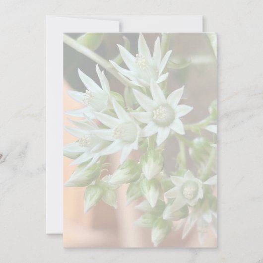 Subtile Sukkuline florale Background Brautparty Einladung (Rückseite)