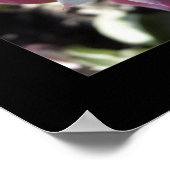 Subtile Sukkuline Poster (Ecke)