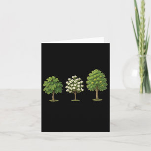 Subtile Tree Anti Trump Shirt Tree Figs Dogwood Tu Karte