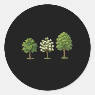 Subtile Tree Anti Trump Shirt Tree Figs Dogwood Tu Runder Aufkleber