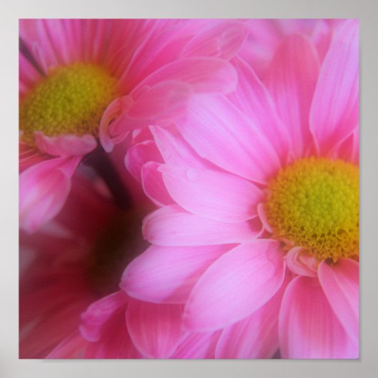 subtile Wege Poster (Vorne)