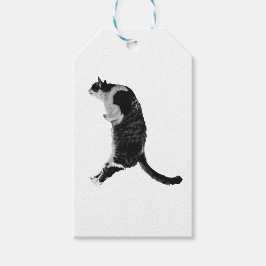 Subtiles Katzen-Tag Geschenkanhänger (Vorderseite)