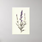 Subtle Lavender Sprig auf Elfenbeinküste Leinwand (Vorderseite)
