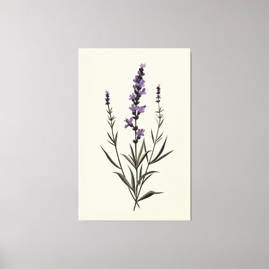 Subtle Lavender Sprig auf Elfenbeinküste Leinwand (Vorderseite)