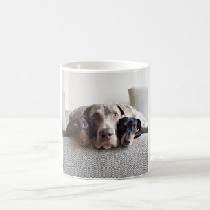 Subwoofers Kaffeetasse