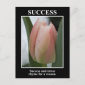 Success rhymes with stress for a reason postkarte (Vorderseite)