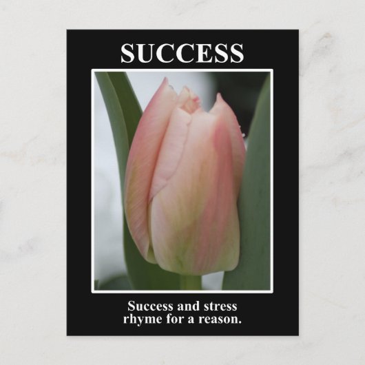 Success rhymes with stress for a reason postkarte (Vorderseite)