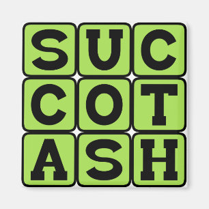 Succotash, unerträgliches Mais- und Limabohnen-Ger Magnet