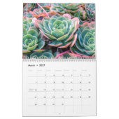 Succula-Kalender Kalender (Mär 2027)