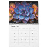 Succula-Kalender Kalender (Jan 2027)