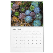 Succula-Kalender Kalender (Mär 2026)