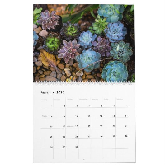 Succula-Kalender Kalender (Mär 2026)