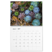 Succula-Kalender Kalender (Mär 2027)