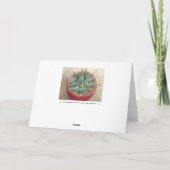 Succulent Agave victoriae reginae Grußkarte Karte (Rückseite)