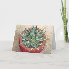 Succulent Agave victoriae reginae Grußkarte Karte