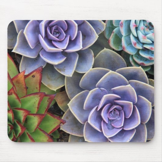 Succulent Bouquet Mouse Pad Mousepad (Vorne)