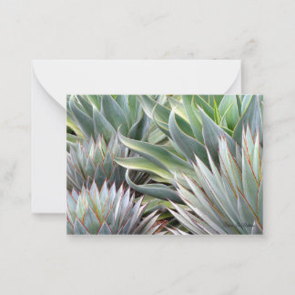 Succulent card Agave 'Blue Glow', 'Blue Flame' Mitteilungskarte