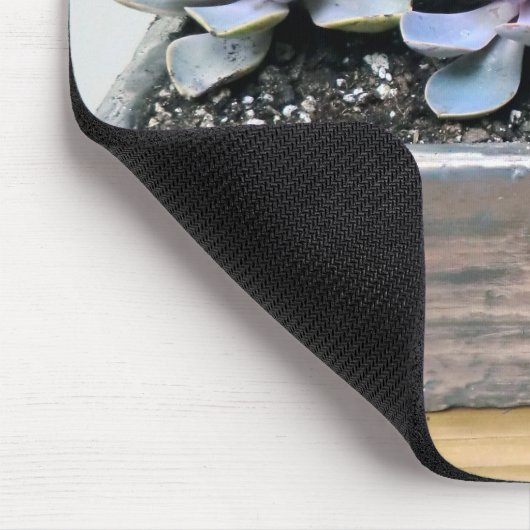 Succulent im Silber Mousepad (Ecke)