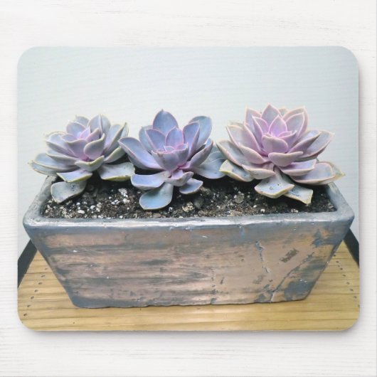 Succulent im Silber Mousepad (Vorne)