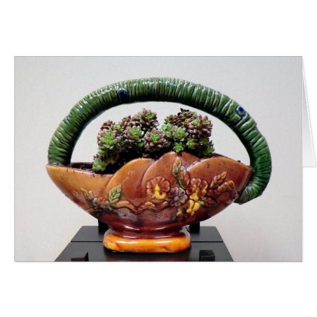 Succulent in Basket von Sukkulenten Designs (Vorderseite (Horizontal))