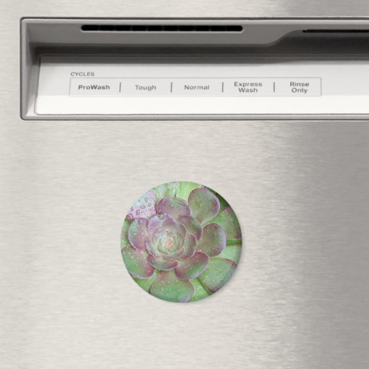SUcculent Magnet (In Situ (Geschirrspüler))