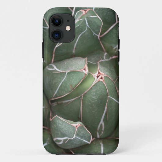 Succulent Pflanze Foto iPhone SE + iPhone 5/5S Case-Mate iPhone Hülle (Rückseite)