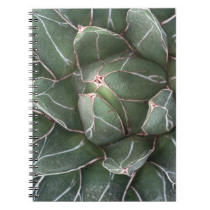 Succulent Pflanze Foto Notebook (80 Seiten B&W) Notizblock