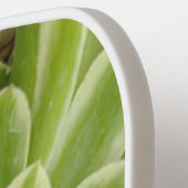 Succulent Pickleball Paddle (Linke Seite)