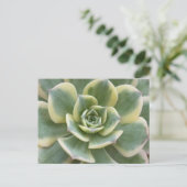 Succulent Postcard Postkarte (Stehend Vorderseite)