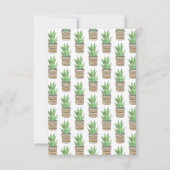 Succulent Zebra Pflanze Southwestern Pot New Addre Ankündigung (Rückseite)