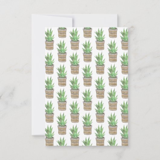 Succulent Zebra Pflanze Southwestern Pot New Addre Ankündigung (Rückseite)