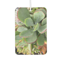 Succulents Air Freshener Autolufterfrischer