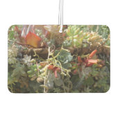 Succulents Air Freshener Autolufterfrischer (Rückseite)