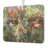 Succulents Air Freshener Autolufterfrischer (Links)