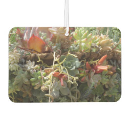 Succulents Air Freshener Autolufterfrischer