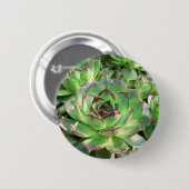 Succulents Button (Vorne & Hinten)