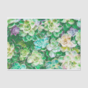 Succulents, die durch Cindy Bendel malen Seidenpapier