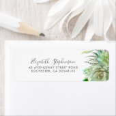 Succulents Greenery Modern (Insitu)