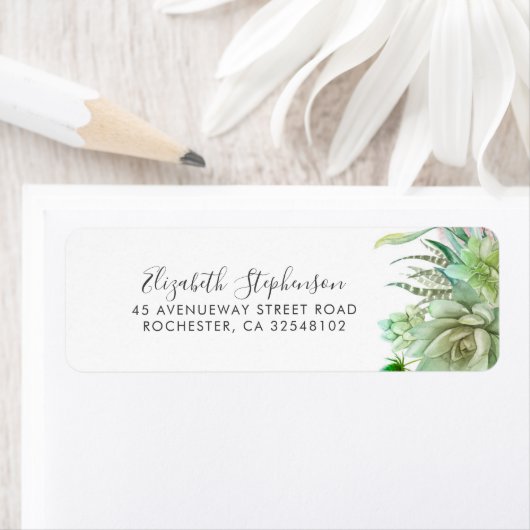 Succulents Greenery Modern (Insitu)