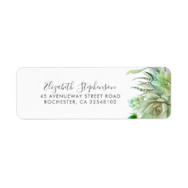 Succulents Greenery Modern