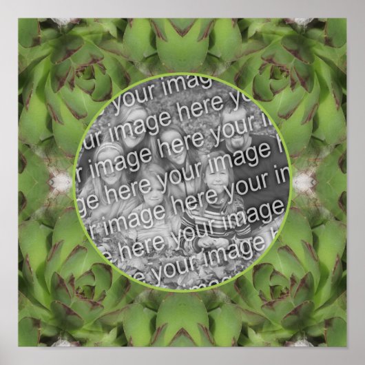 Succulents Nature Frame erstellen Sie Ihr eigenes  Poster (Vorne)
