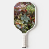 Succulents Pickleball Paddle (Rückseite)