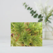 Succulents Post Card Postkarte (Stehend Vorderseite)