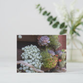 Succulents Postcard Postkarte (Stehend Vorderseite)