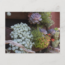 Succulents Postcard Postkarte